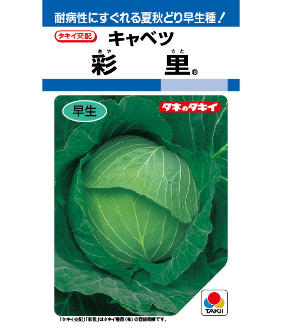 LINE目あたらしい馴染み書きとどめる・100円OFF引き換え証