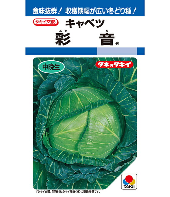 コート種子 キャベツ TCA-422 タキイ交配 コート種子 キャベツ TCA-422 タキイ交配