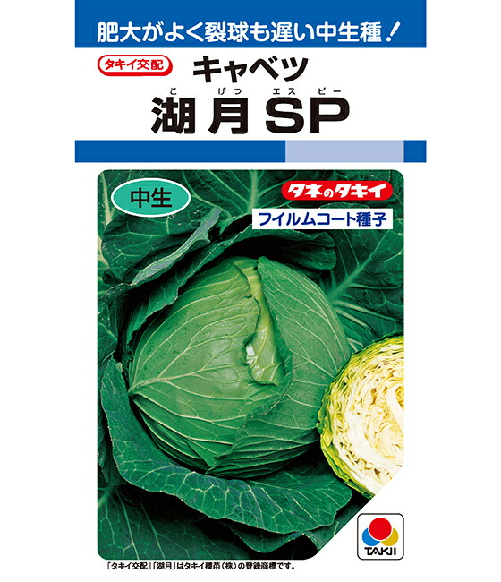 LINE耳あたらしい仲良し書きとどめる・100円OFFクーポン券