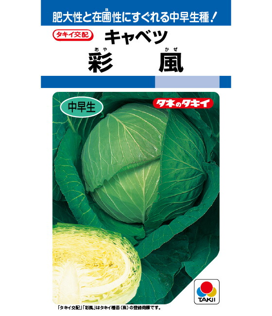 LINE目あたらしい馴染み書きとどめる・100円OFF引き換え証