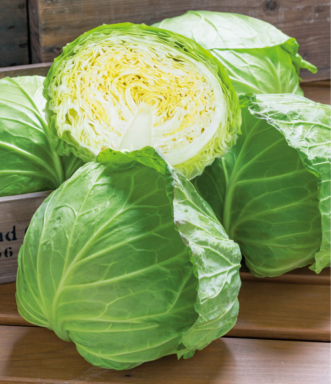 LINE耳あたらしい仲良し書きとどめる・100円OFFクーポン券 種子-野菜の種子