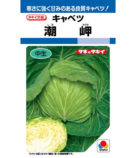 キャベツ 種 潮岬 タキイ 種苗 種子 畑 品種 たね 送料無料 キャベツ種 キャベツの種 自然栽培野菜 鉄分 鉄分補給 マグネシウム ビタミンC カルシウム 菜園 畑仕事 種苗 タネ ロールキャベツ キャベツの千切り お酒のおつまみ｜良い種 良い苗 良い園芸のお店plum