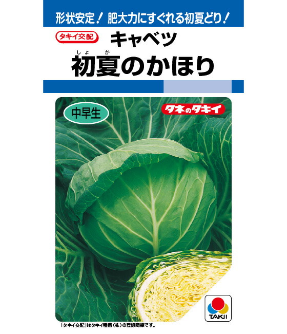 LINE目あたらしい馴染み書きとどめる・100円OFF引き換え証