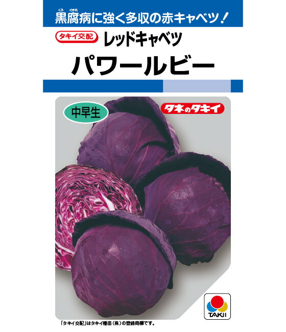 LINE目あたらしい仲よし書きとどめる・100円OFF引き換え証