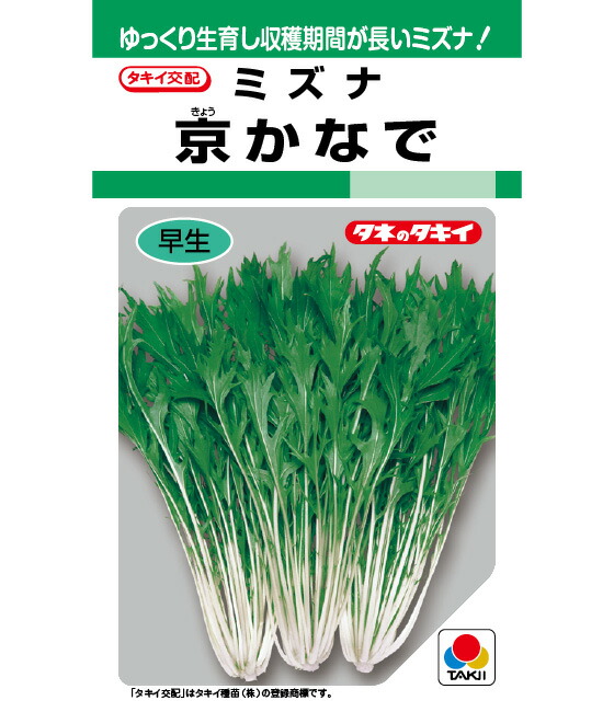 水菜商品 ptmi001_2.jpg
