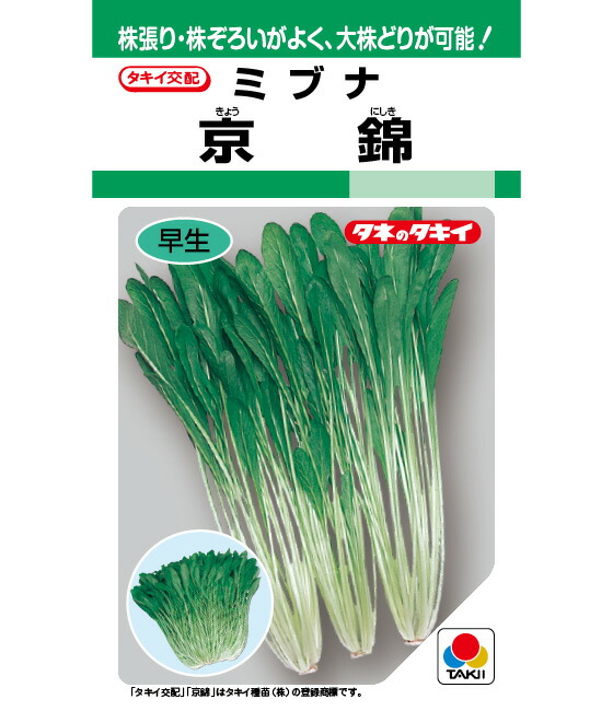 LINE目あたらしい仲よし書きとどめる・100円OFF引き換え証
