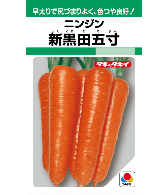 ニンジン 種 新黒田五寸 タキイ 種苗 種 野菜 プロ向け 農家 セレクト にんじん 人参 種 苗 野菜 タネ プロ向け 家庭菜園 たね 畑 種まき おいしい 畑仕事 送料無料 自然栽培野菜 種子 サラダ 野菜種子 キット 野菜種｜良い種 良い苗 良い園芸のお店plum