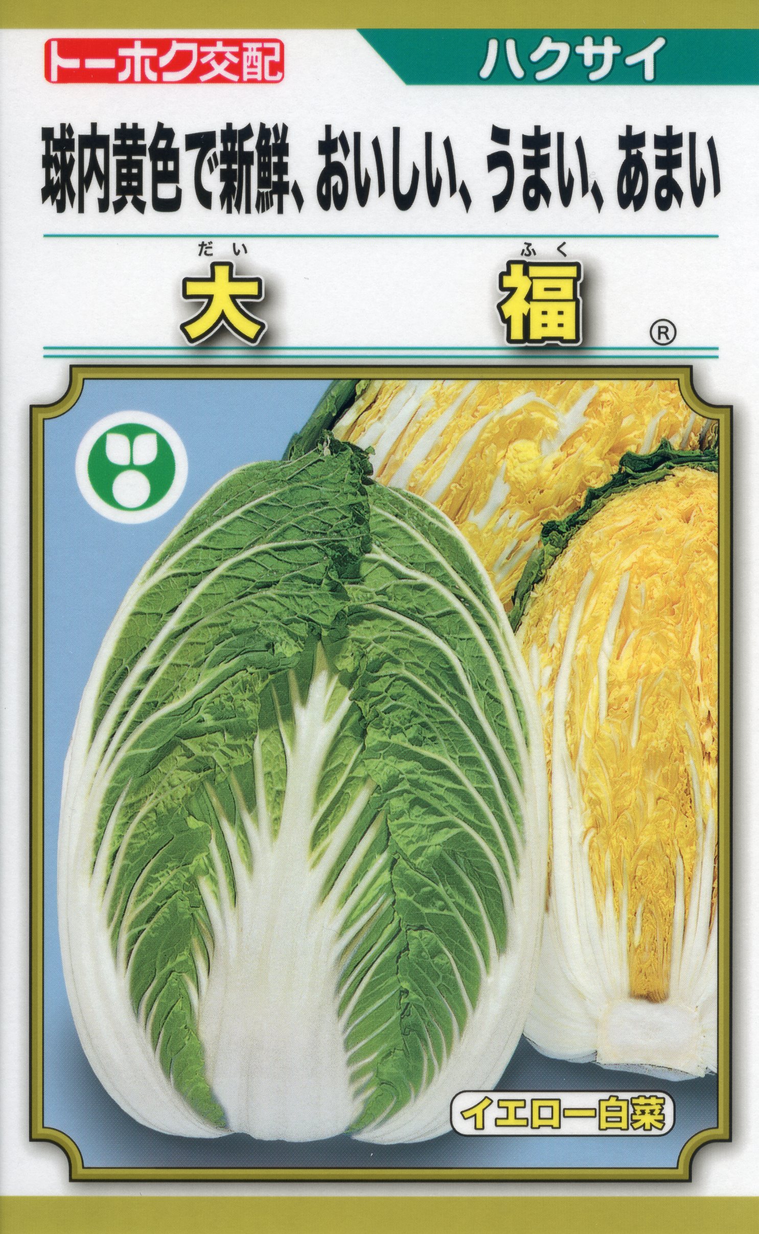 モリ　ハクサイの種　品種結福　訳あり品　11缶 楽天市場】白菜 種 大福75 トーホク ハクサイ おいしい 種類