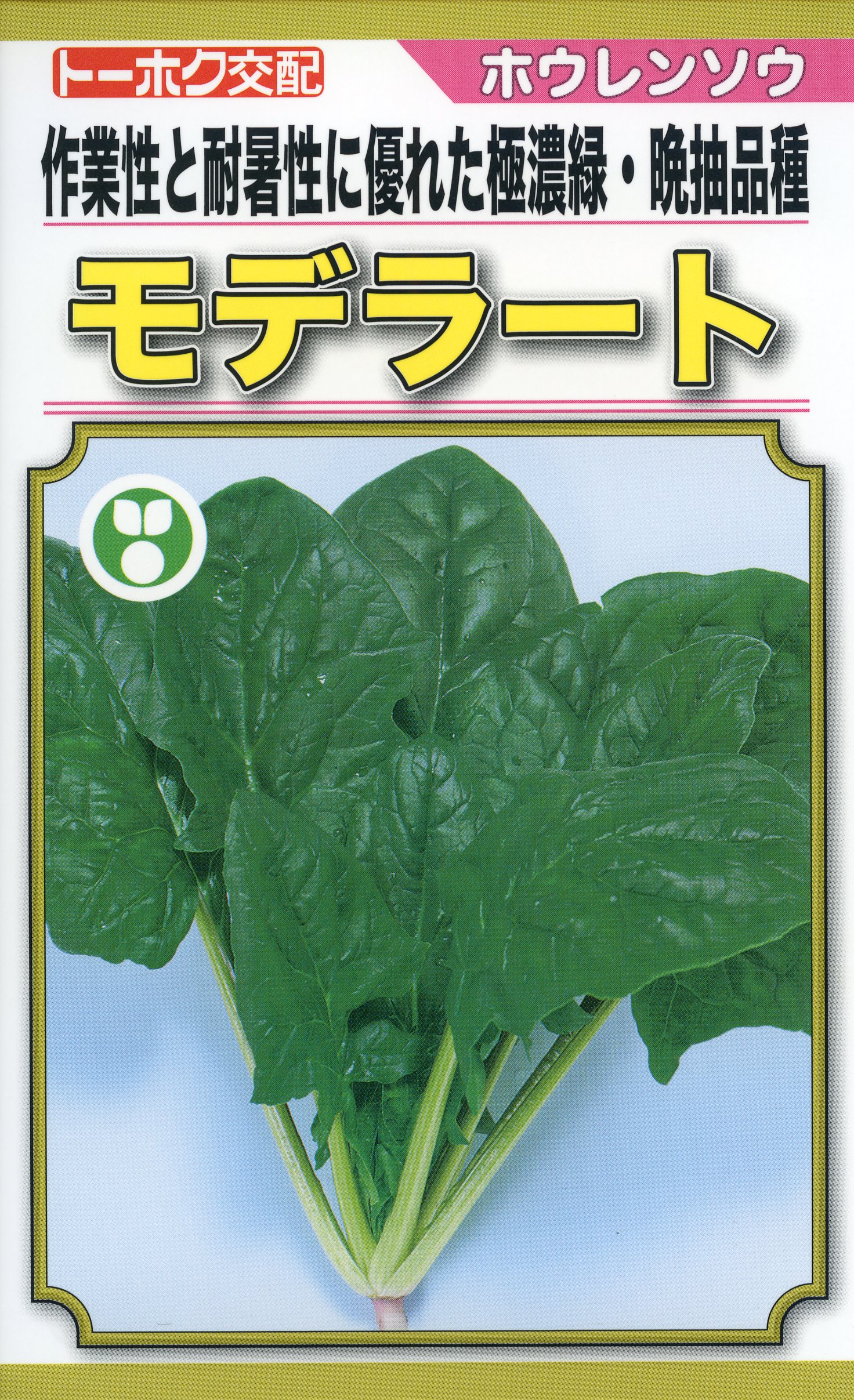 楽天市場】ホウレンソウ 種 スーパーアリーナ零 トーホク 法蓮草