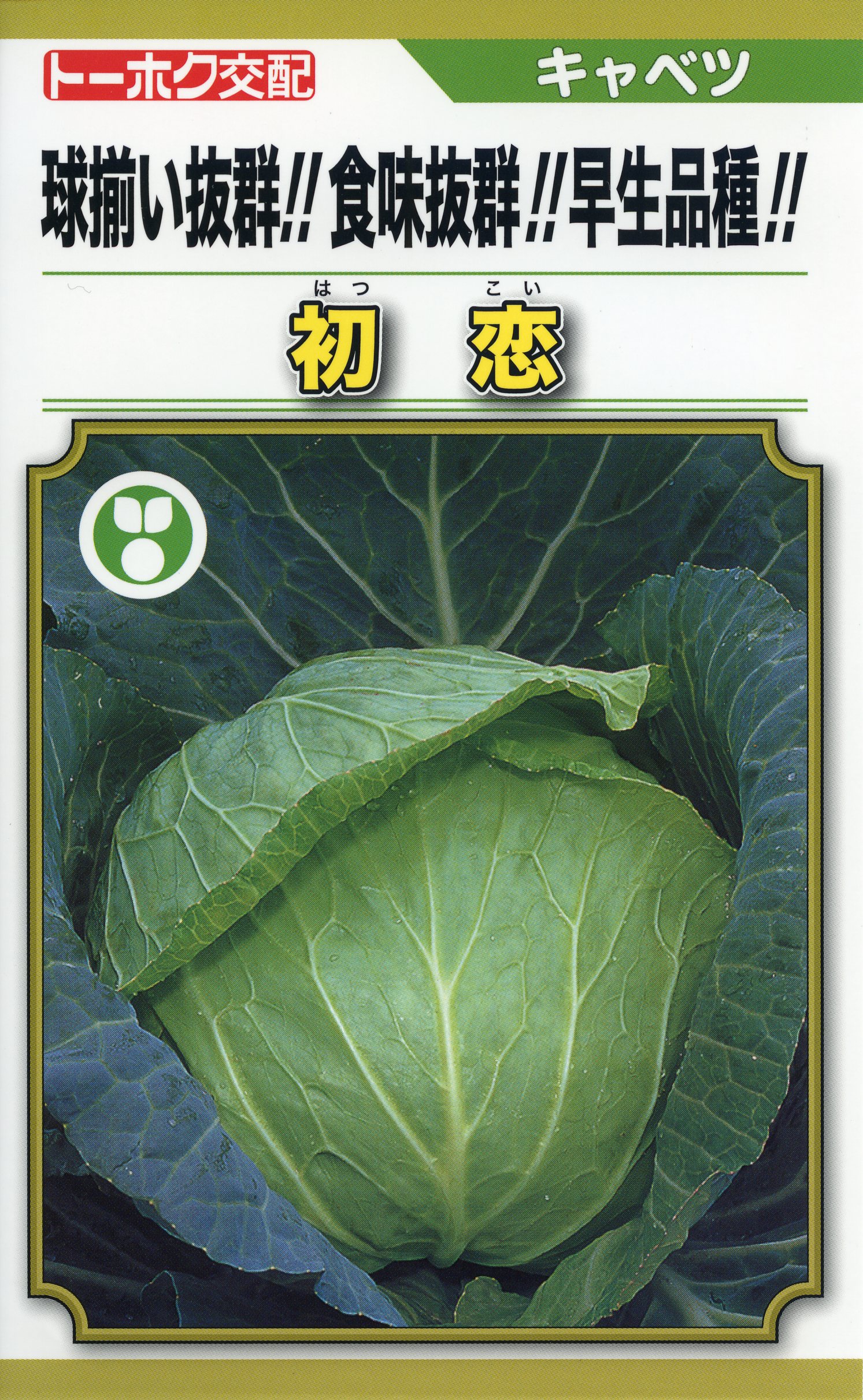 楽天市場】〈小袋・3000粒・コート5000粒〉キャベツ種【 F1初恋