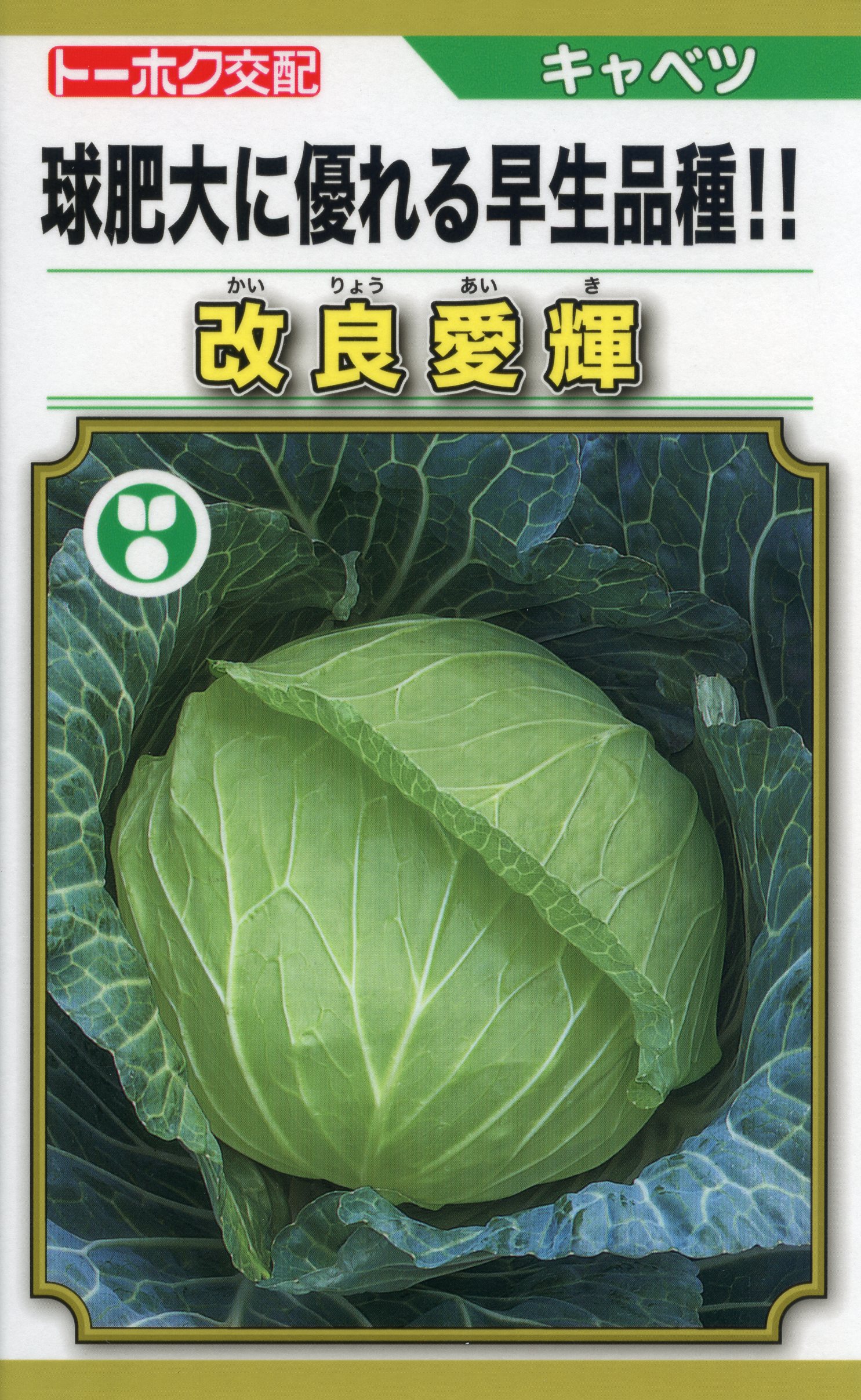 楽天市場】キャベツ 種 稜山7 トーホク 種子 畑 品種 たね 送料無料
