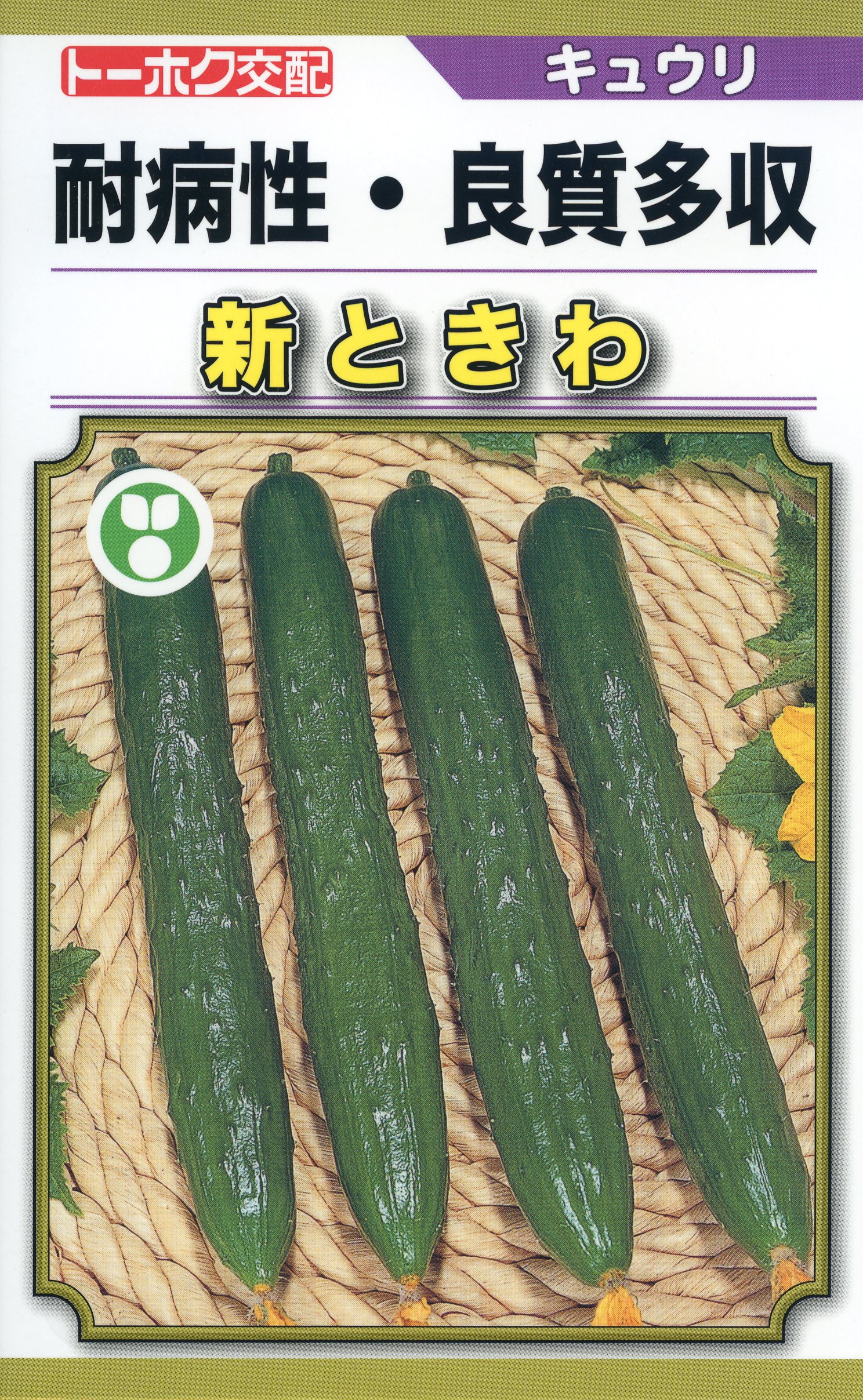 あき　きゅうり＆マルトーカブ種子 Amazon.co.jp: きゅうり 種 【 加賀太胡瓜 】 種子 小袋（約2ml