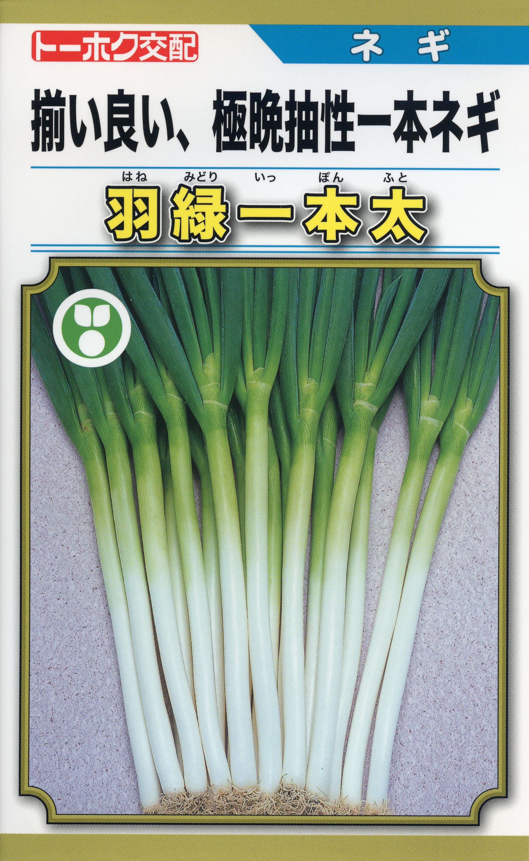 ねぎ $_57.JPG?set_id=880000500F