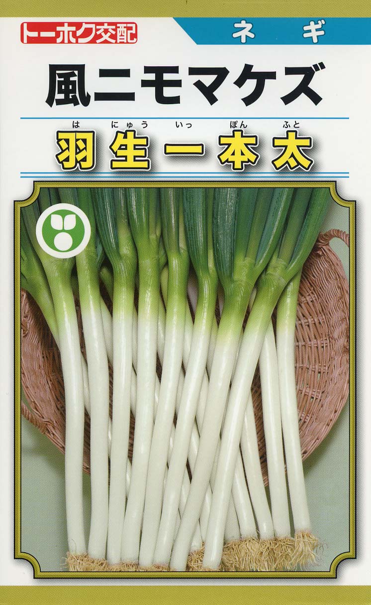 LINE目あたらしい馴染み書きとどめる・100円OFF引き換え証