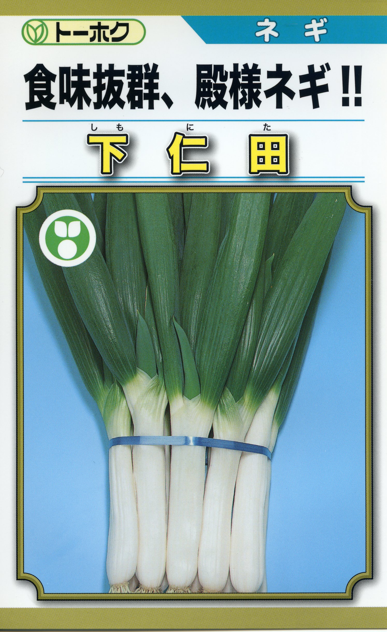 楽天市場】ネギ 種 夏柱 MKS-N43 新品種 野菜 種 みかど