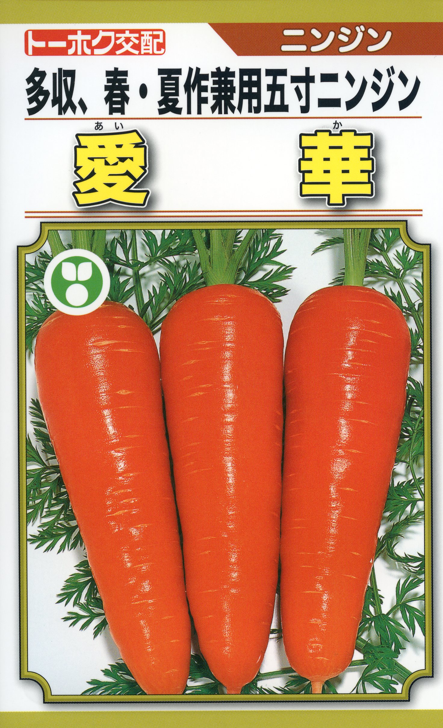 ニンジン　種　アロマレッド　１万粒　2袋 人参] アロマレッド コート1万粒 (株)トーホク(野菜種/人参