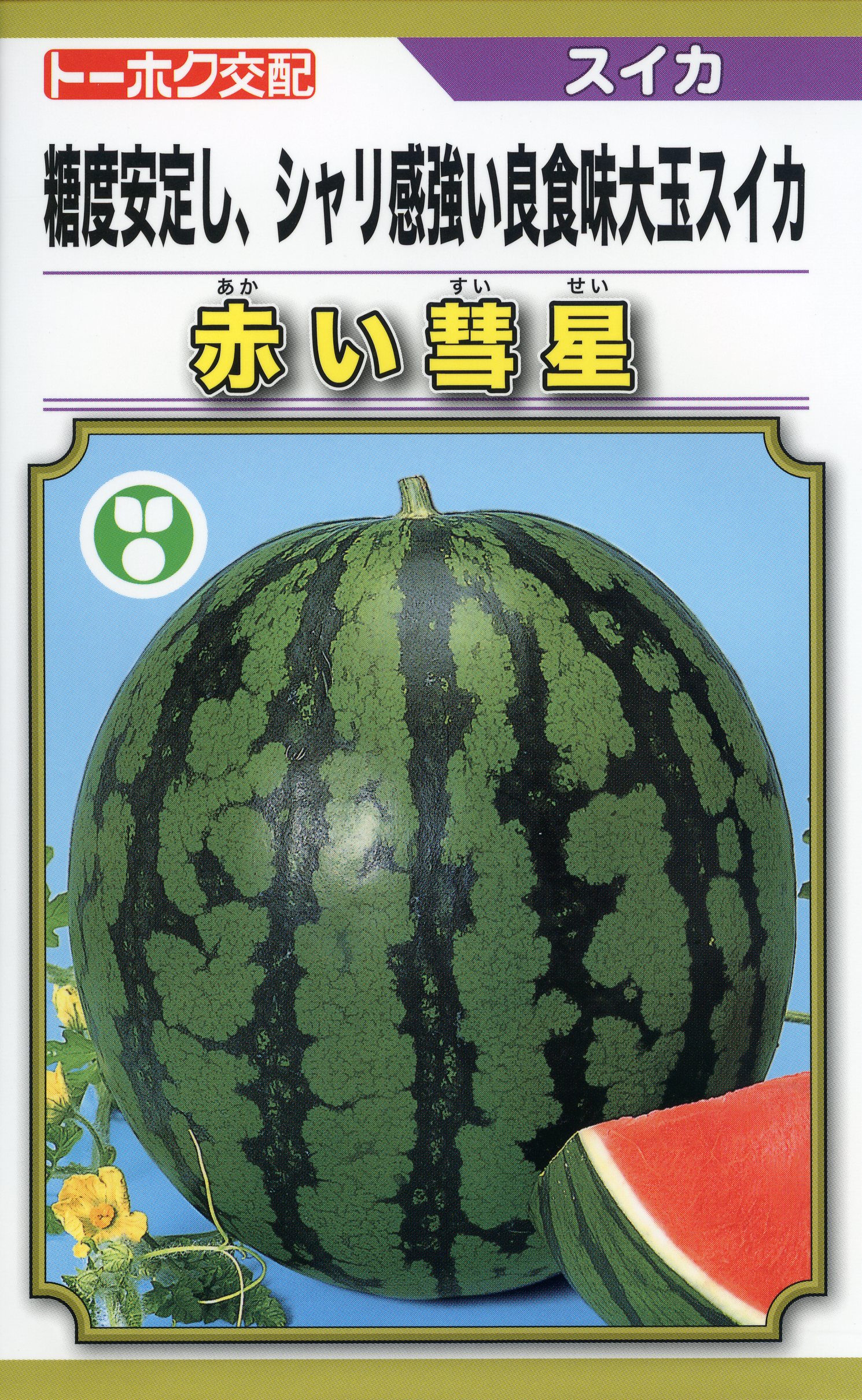 楽天市場】スイカ 種 ピロマスタ2 大玉 タキイ 種苗 すいか 家庭菜園