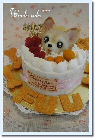 ワンコケーキ*フルーツデコレーションケーキ*Ｓ（犬用ケーキ・犬ケーキ・誕生日）