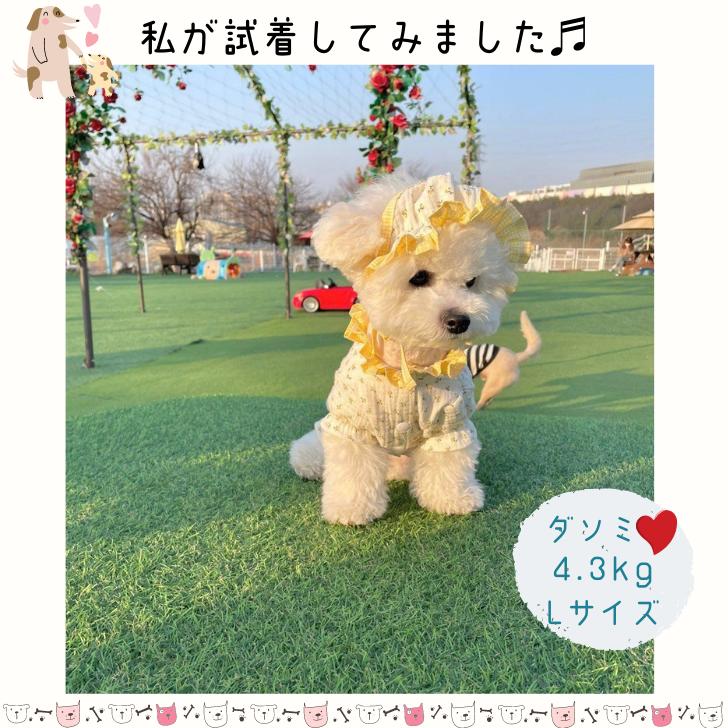 楽天市場 犬服 ワンピース 春 夏 職人手作り おしゃれ かわいい 犬 服 ドッグウェア ペットウェア ペット服 春服 ペットドレス ワンピ スカート お姫様 ペット用 犬用 子犬 愛犬 小型犬 中型犬 大型犬 可愛い ガーゼ フリル 華やか プレゼント Xs S Sm