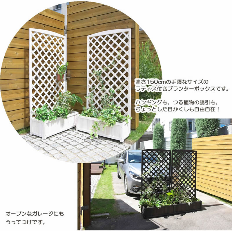 lattice trellis