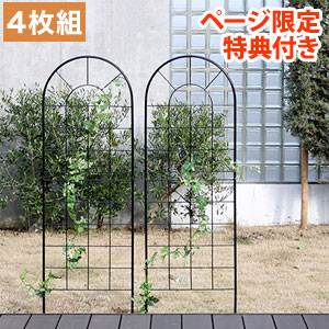 圧倒的人気 あす楽対応  【M1GIUJ0HA8B】 限定デザイン