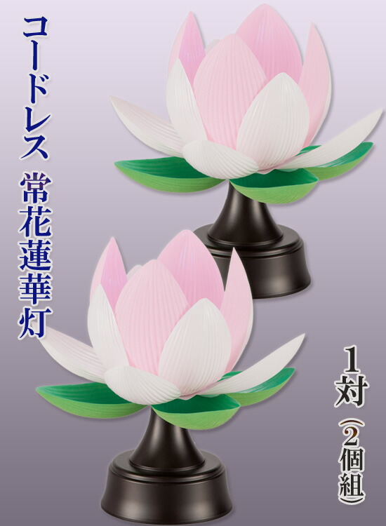 ページ限定 ティースプーン付 2個組 Ymg6409 常花蓮華灯 コードレス 送料無料 盆提灯