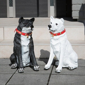 玄関 見張り番 【お出迎えワンワン 】 ［送料無料］ 防犯 犬の置物 明暗センサー ガーデンオブジェ 防犯対策 ワンワン リキ 白 黒 かわいい 番犬 ガーデン置物 玄関先｜アテーネ