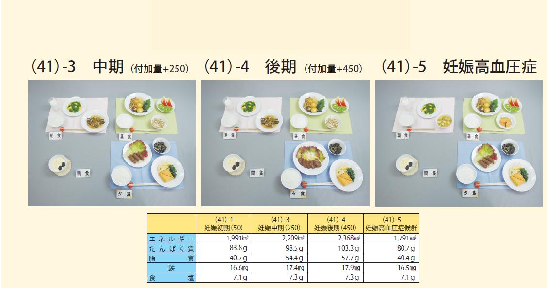 新作モデル イワイサンプル 妊婦食 献立 妊娠初期 中期 後期 妊娠高血圧症 食品サンプル 栄養指導用フードモデル 最安 Www Siapctg Com Co