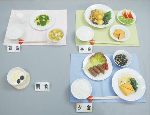 イワイサンプル 妊婦食 献立 妊娠初期 中期 後期 妊娠高血圧症 食品サンプル 栄養指導用フードモデル Collabforge Com