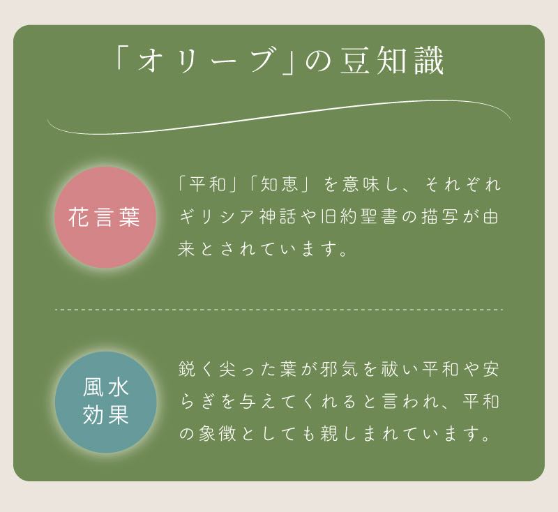 インテリア リーフ アットホームインテリア おしゃれ 造花 オリーブ 人工観葉 フェイクグリーン 観葉植物 オリーブ おしゃれ リーフ 花 観葉植物 新築祝い 引っ越し祝い インテリア 造花 人工観葉 送料無料 人工観葉 ディスプレイ お祝い 観葉植物 観葉植物 ギフト インテリア リーフ アットホームインテリア おしゃれ 造花 オリーブ 人工観葉 フェイクグリーン 観葉植物 オリーブ おしゃれ リーフ 花 観葉植物 新築祝い 引っ越し祝い インテリア 造花 人工観葉 送料無料 人工観葉 ディスプレイ お祝い 観葉植物 観葉植物 ギフト