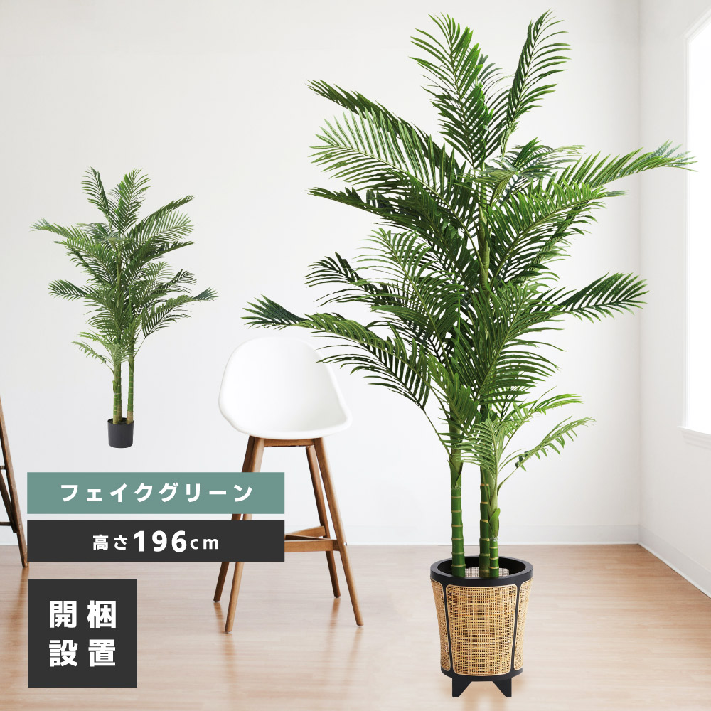 楽天市場】【クーポンで10%OFF】 ウッドボックストネリコミックス1.8