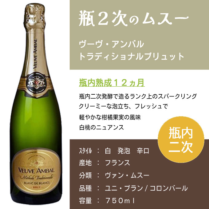 商い ケース販売１２本 ヴーヴ アンバル トラディッショナル ブリュット 750ml フランス スパークリングワイン 白 シャンパン製法 瓶内2次発酵  somaticaeducar.com.br