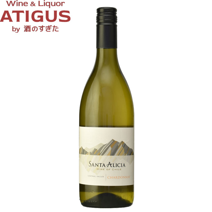 SANTA REGINA Chardonnay 3L　白ワイン5本セット santaregina-white3lb_1200x1200
