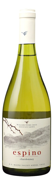 【送料無料】エスピノ シャルドネ 750ml 12本(1ケース)【インポーター直送】(一部地域送料あり) | チリ マイポ ヴァレー 白 辛口 ワイン Espino Chardonnay ビーニャ ウィリアム フェーヴル チリ|ワインと地酒 アティグス