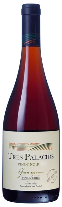 【全国一律送料無料】ピノ ノワール グラン レゼルブ 750ml 24本(2ケース)【インポーター直送】 | チリ マイポ ヴァレー 赤 ミディアムボディ ワイン Pinot Noir Gran Reserve ビーニャ トレス パラシオス|ワインと地酒 アティグス