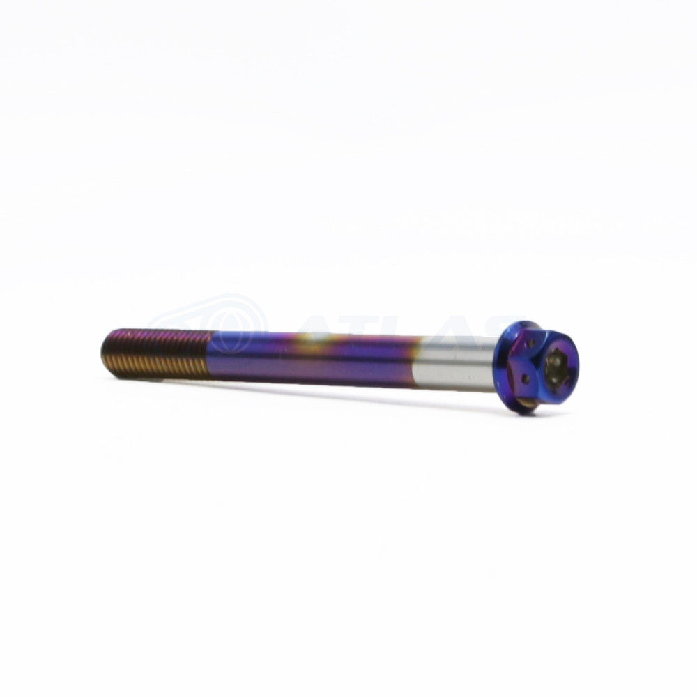 ☆StarBoltCNC加工ヘキサゴンヘッドSUSPVDチタンコートボルトM10×100mmP1.5mm焼き色ブルー仕上げ