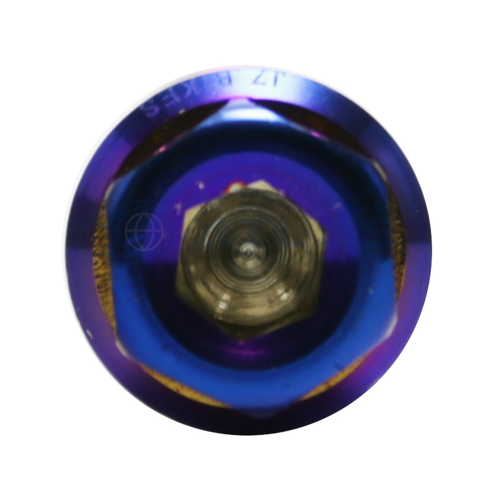 ☆StarBoltCNC加工ヘキサゴンヘッドSUSPVDチタンコートボルトM10×100mmP1.5mm焼き色ブルー仕上げ