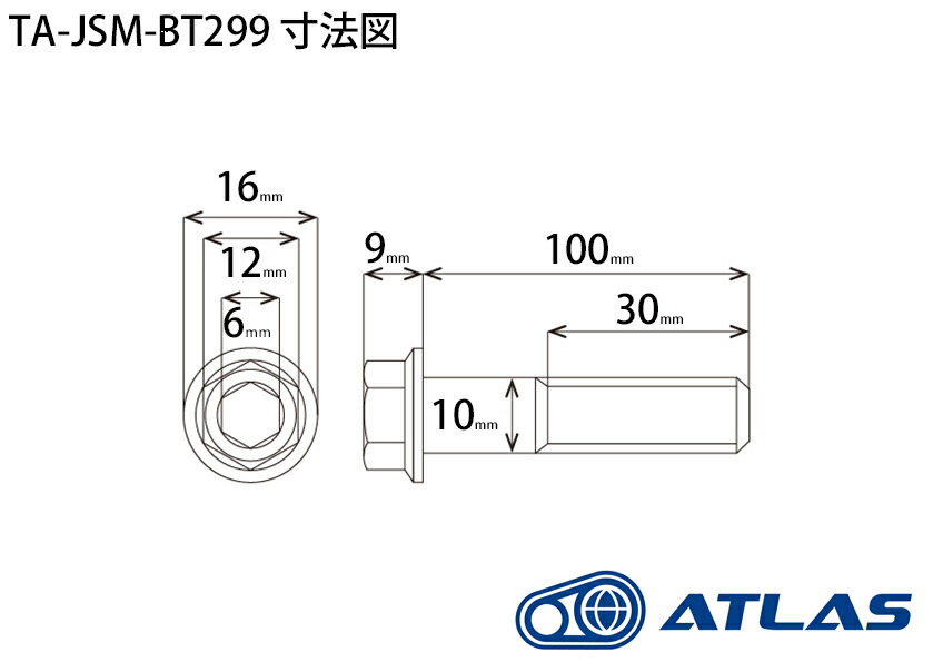 ☆StarBoltCNC加工ヘキサゴンヘッドSUSPVDチタンコートボルトM10×100mmP1.5mm焼き色ブルー仕上げ