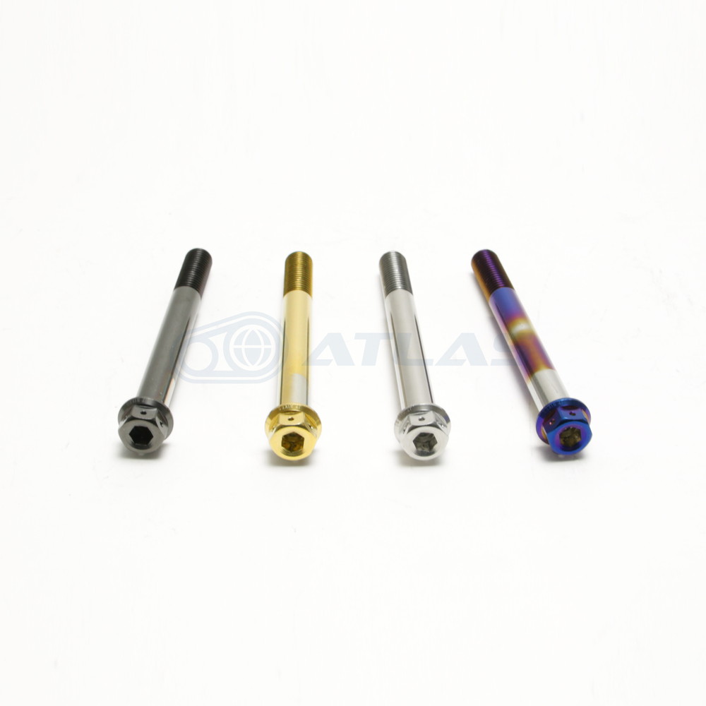 ☆StarBoltCNC加工ヘキサゴンヘッドSUSPVDチタンコートボルトM10×100mmP1.5mm焼き色ブルー仕上げ