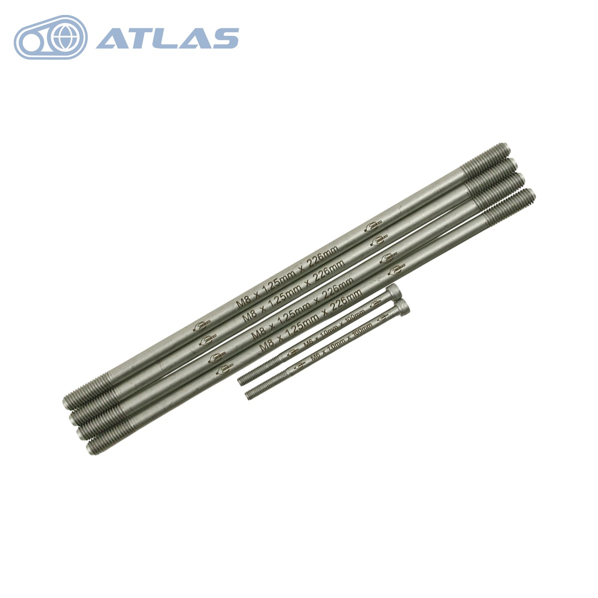 楽天市場】Wan Hon Dev シグナスグリファス CYGNUS GRYPHUS NMAX X