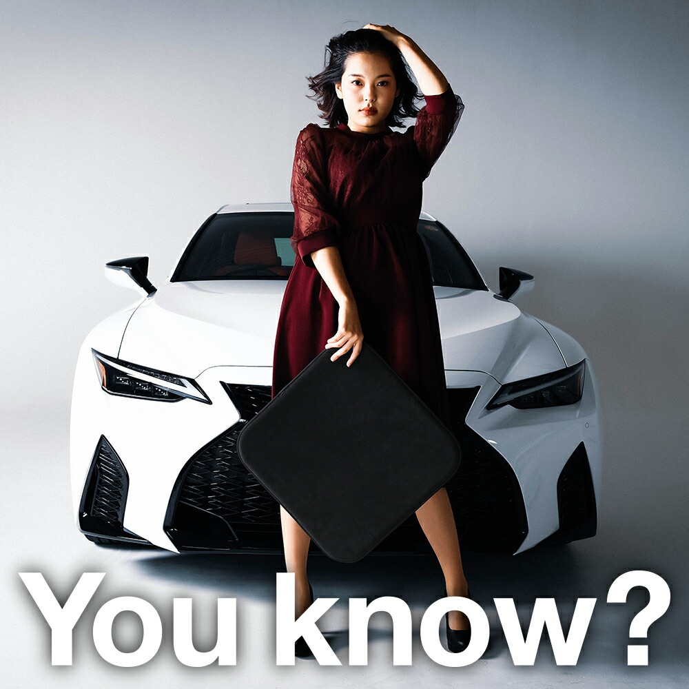 高級2枚セット シートクッション シートカバー グッズ 運転席 助手席 アルカンターラと同じ生地を採用した東レのウルトラスエード使用 日本製 座布団 シート レザー シート レザー 車用 クッション 内装 傷 汚れ シワ フィット 高反発 保温 腰痛 通気性 車 Lotno