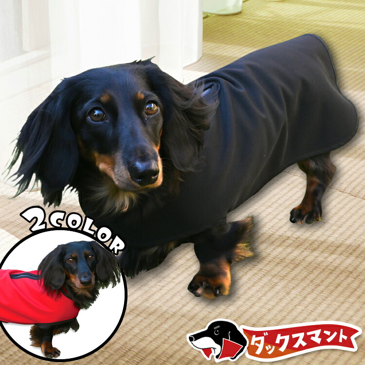 Bページです　ダックス　ダックスフンド服　アウター dachs_main3.jpg