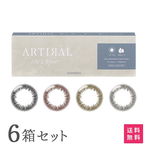 【送料無料】アーティラル1day 58UVM 10枚入り 6箱セット (ARTIRAL 58UVM / ワンデー / 度なし / 度あり / カラコン / カラーコンタクト)