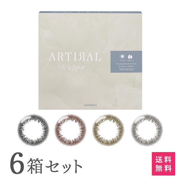 【送料無料】アーティラル1day 58UVM 30枚入り 6箱セット (ARTIRAL 58UVM / ワンデー / 度なし / 度あり / カラコン / カラーコンタクト)
