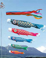 鯉のぼり　5mゴールド青鯉 楽天市場】鯉のぼり「ゴールド鯉 5M 7点セット」【徳永鯉