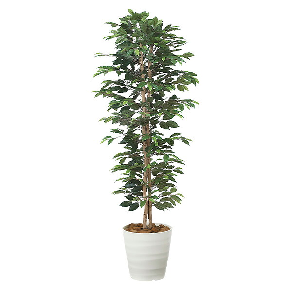 光触媒 観葉植物 人工植物 フェイクグリーン アートグリーン 造花 グリーン 人工観葉植物 ホルムアルデヒド 店舗 除去 ダイニング ディスプレイ 玄関 分解 オフィス 消臭 リビング インテリア 抗菌 おしゃれ ナチュラル 贈り物 プレゼント 引っ越し祝い ベンジャミンスリム｜atom DIY