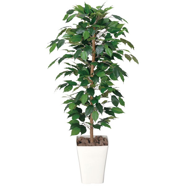 耀き触媒 観葉草木 人工植物 フェイク緑色 芸術グリーン 造花 グリーン 人工観葉植物 ホルムアルデヒド 晩ご飯 洩らす リアル リビング 事務室 抗菌 売店 室内装飾 かっこ良い 顕わす 玄関先 贈りもの ギフト 移駐祝い 典礼 フィカスベンジャミン Newbyresnursery Com