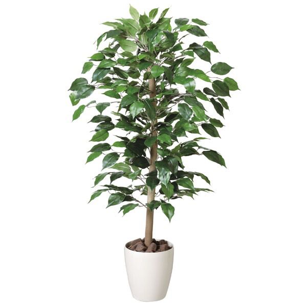 光触媒 観葉植物 人工植物 フェイクグリーン アートグリーン 造花 グリーン 人工観葉植物 ホルムアルデヒド 店舗 除去 ダイニング ディスプレイ 玄関 分解 オフィス 消臭 リビング インテリア 抗菌 おしゃれ ナチュラル 贈り物 プレゼント 引っ越し祝い お祝い ベンジャミン|atom DIY