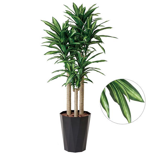 光触媒 観葉植物 人工植物 フェイクグリーン アートグリーン 造花 グリーン 人工観葉植物 抗菌 オフィス ナチュラル ディスプレイ 玄関 カフェ 消臭 インテリア お祝い おしゃれ 贈り物 店舗 リビング ダイニング プレゼント 引っ越し祝い 新築祝い 幸福の木