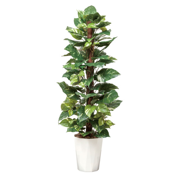 光触媒 観葉植物 人工植物 フェイクグリーン アートグリーン 造花 グリーン 人工観葉植物 抗菌 オフィス ナチュラル ディスプレイ 玄関 カフェ 消臭 インテリア お祝い おしゃれ 贈り物 店舗 リビング ダイニング プレゼント 引っ越し祝い 新築祝い ポトス｜atom DIY